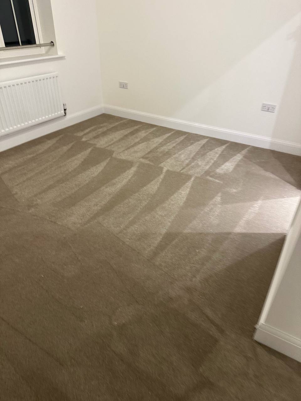Brown carpet in an empty bedroom